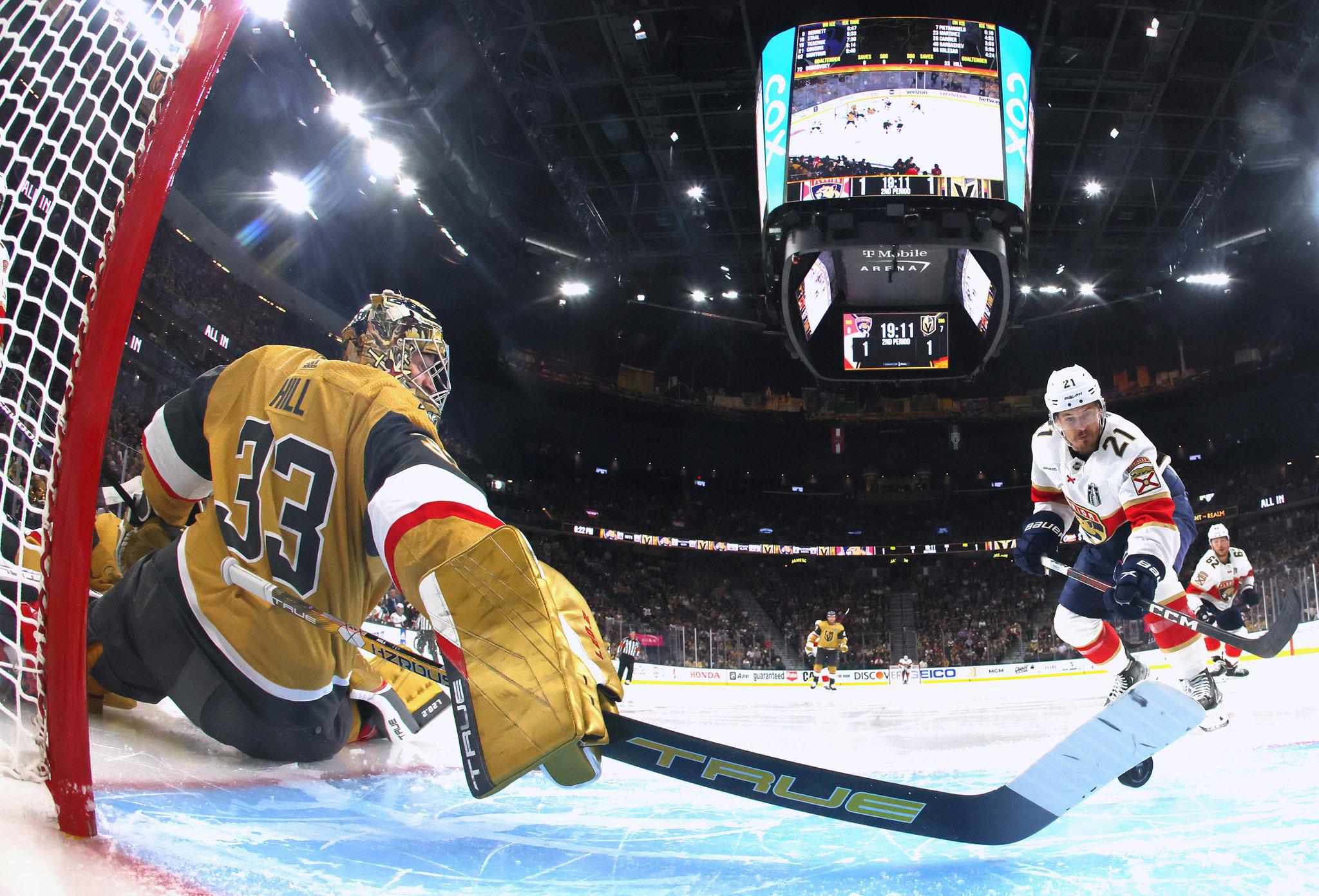 Adin Hill, Vegas Golden Knights