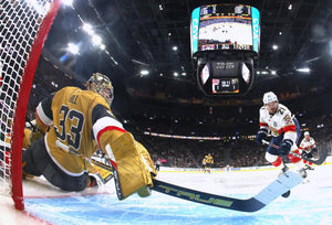 Adin Hill, Vegas Golden Knights