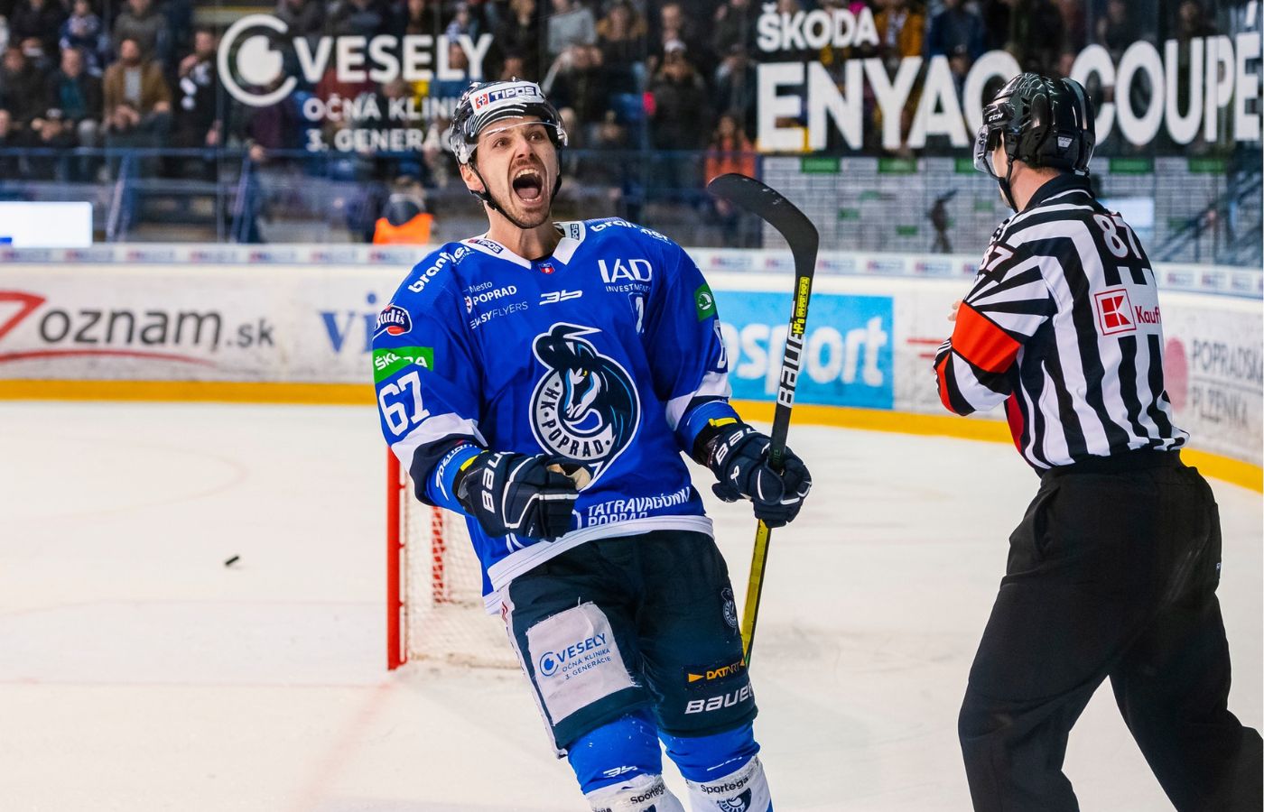 One of the Best Hockey Players That Never Played in the NHL – Rezztek North America